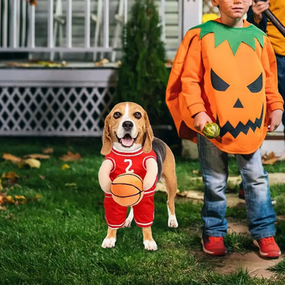 Hoop Hound™ Basketball Dog Costume