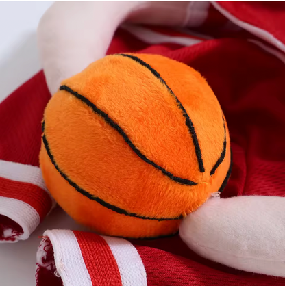 Hoop Hound™ Basketball Dog Costume